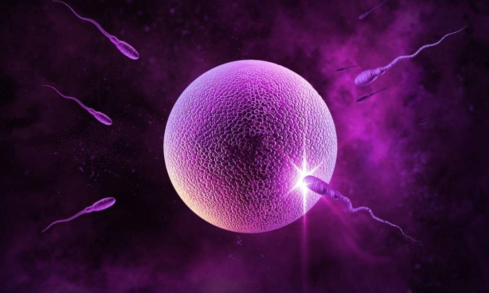 icsi, ivf icsi, ivf